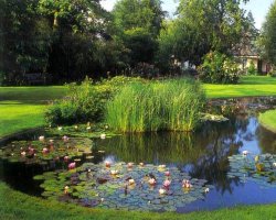 ����������� ��������� ��� �������� ������������� ����