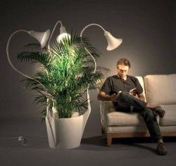 ��������� ���������