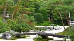 ���������� ���������� ���� � ������� ���������