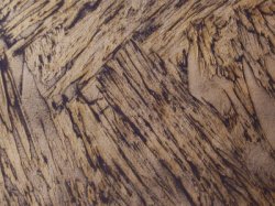 ������������ � ����������� ����������