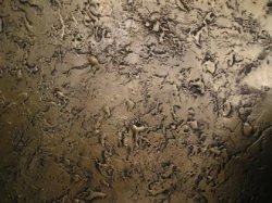 ������������ � ����������� ����������