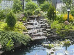 ����������� ��������� ��� �������� ������������� ����