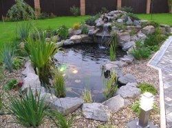 ����������� ��������� ��� �������� ������������� ����