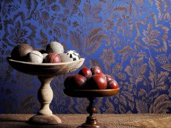 ����������� ����