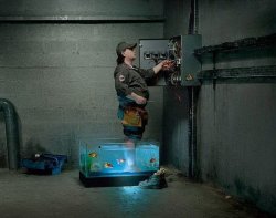 ���������� ��������� � ��������������