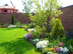 ����������� �������������� � ����������