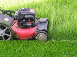 ��������� ������ ��� �������