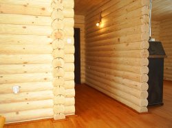 ������������ ����