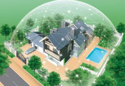 ��� ���������� ������������ �������� ����