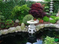 ���������� ���������� ���� � ������� ���������