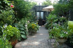 ���� �������� � ����