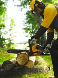 ������ ��������� Packard Spence