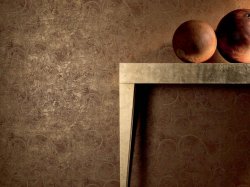 ������������ ���� �� ������������ ������