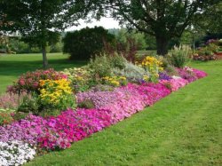 Цветники и клумбы в вашем саду