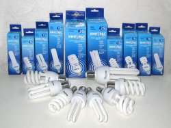 ����������������� �����