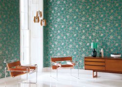 ������������ ����