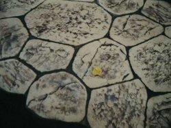 ������������ �����