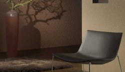 ���� �� ��������� ������ �� �������� ������