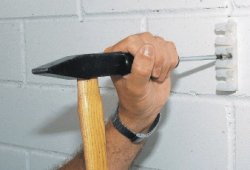 ������ ���������