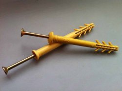 ������ ���������