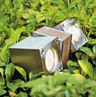 � ����� �������