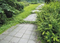 ���������� ���: ������� ������