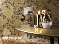 ���� ��-�������� � ��������?