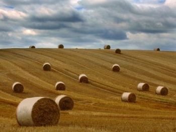 ����� ������������ ������ ��������� ����������� � ����������� �������������