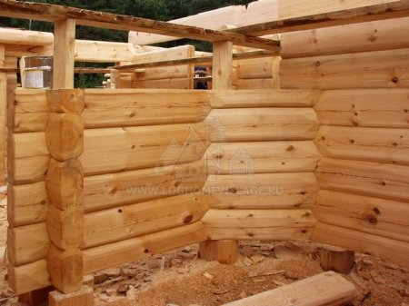 ����������� �������� �����