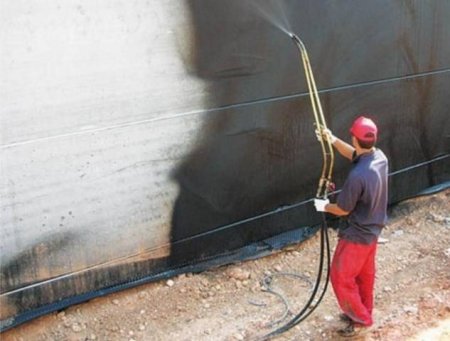 ������������ ����������� �������������