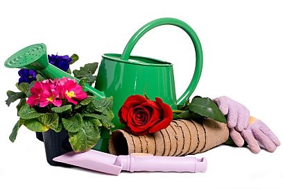 ��� ���������� ������� ������� ������������ ����������� 