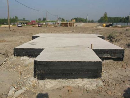 ���� �����������