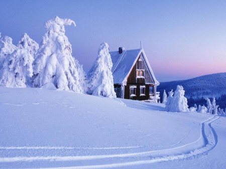 ���� � �� ����� �������