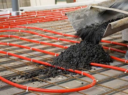 ������ ������ ���� ��� ������