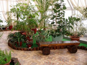 ������ ��� � ��������