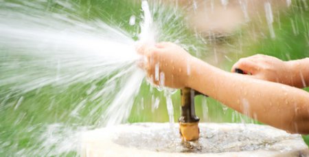 ������� �����������