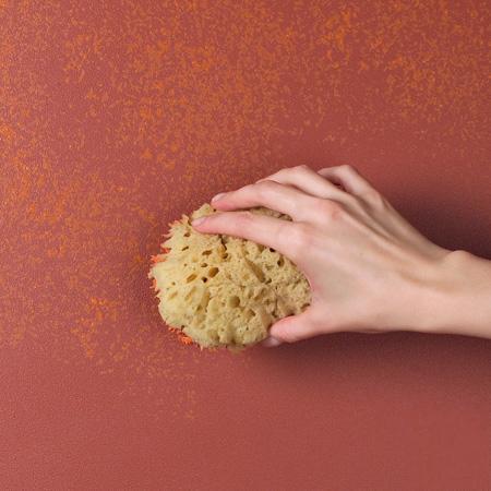 ������� ������ ������