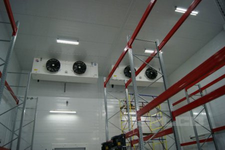 ����������� �����