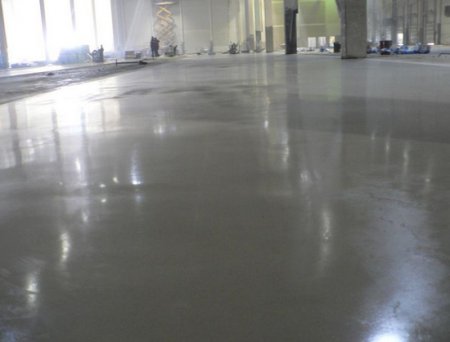 ������������ �������� ����