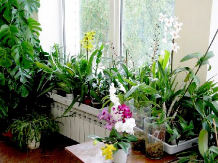 ������ ��� � ��� �� �������