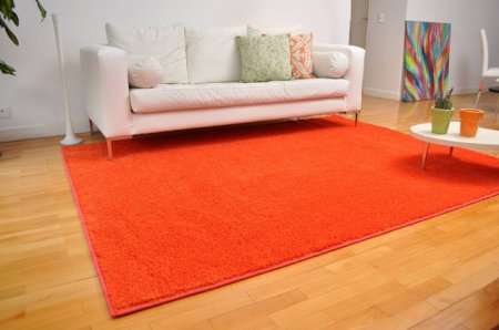 ����� � ���������