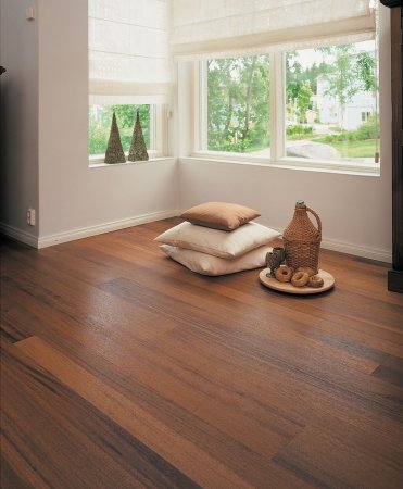 ��������� ����� ��� ������� Panaget ��� ���������