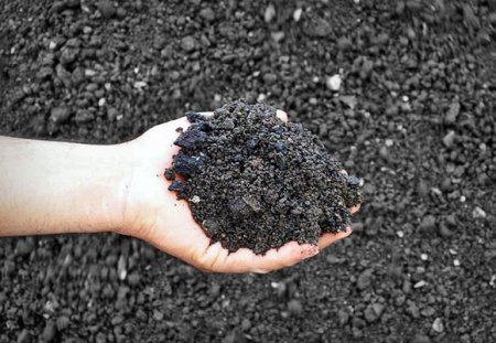 ����������� ������