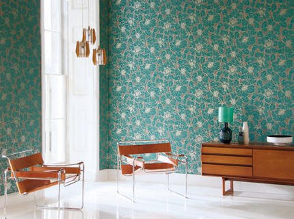 ������������ ����