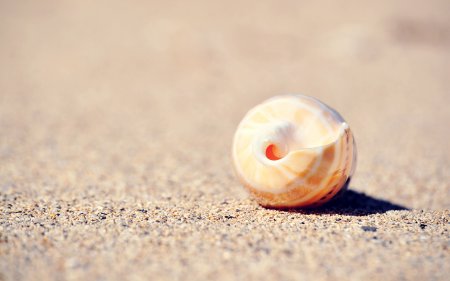 Строительный материал - морской песок