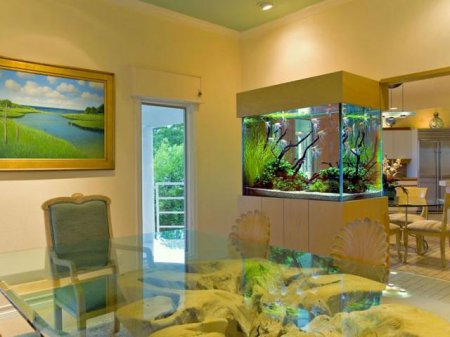 �������� � ��������� ��������