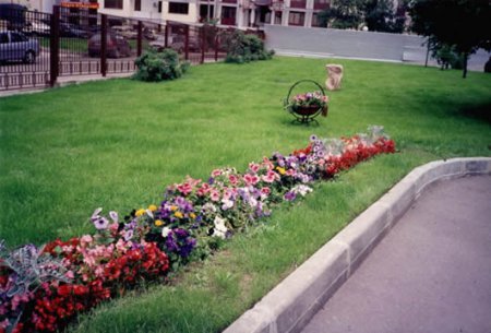 ������ ���� �������� ��� ������� �������