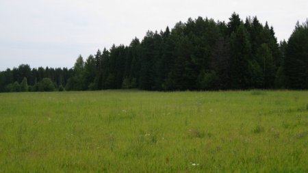 ����� ��� ���������