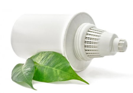 ��� �������� �������� ����