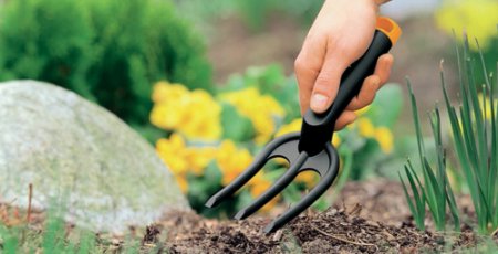 ���� �� ����� ������